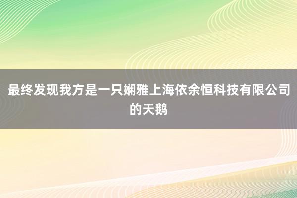 最终发现我方是一只娴雅上海依余恒科技有限公司的天鹅