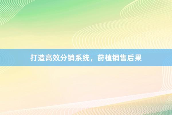 打造高效分销系统，莳植销售后果