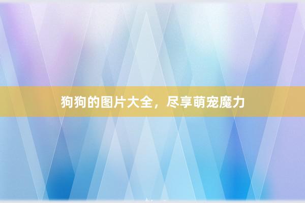 狗狗的图片大全，尽享萌宠魔力