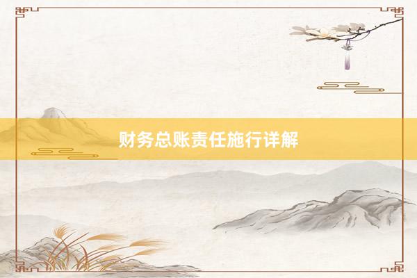 财务总账责任施行详解